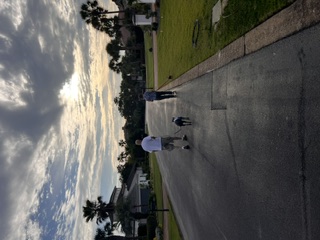 The Grandparent Escort: Grandma walking Pixie, Grandpa walking her brother Tupak. A formal family procession.