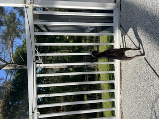 Five Squirrels. A Summit. I Was Outnumbered.