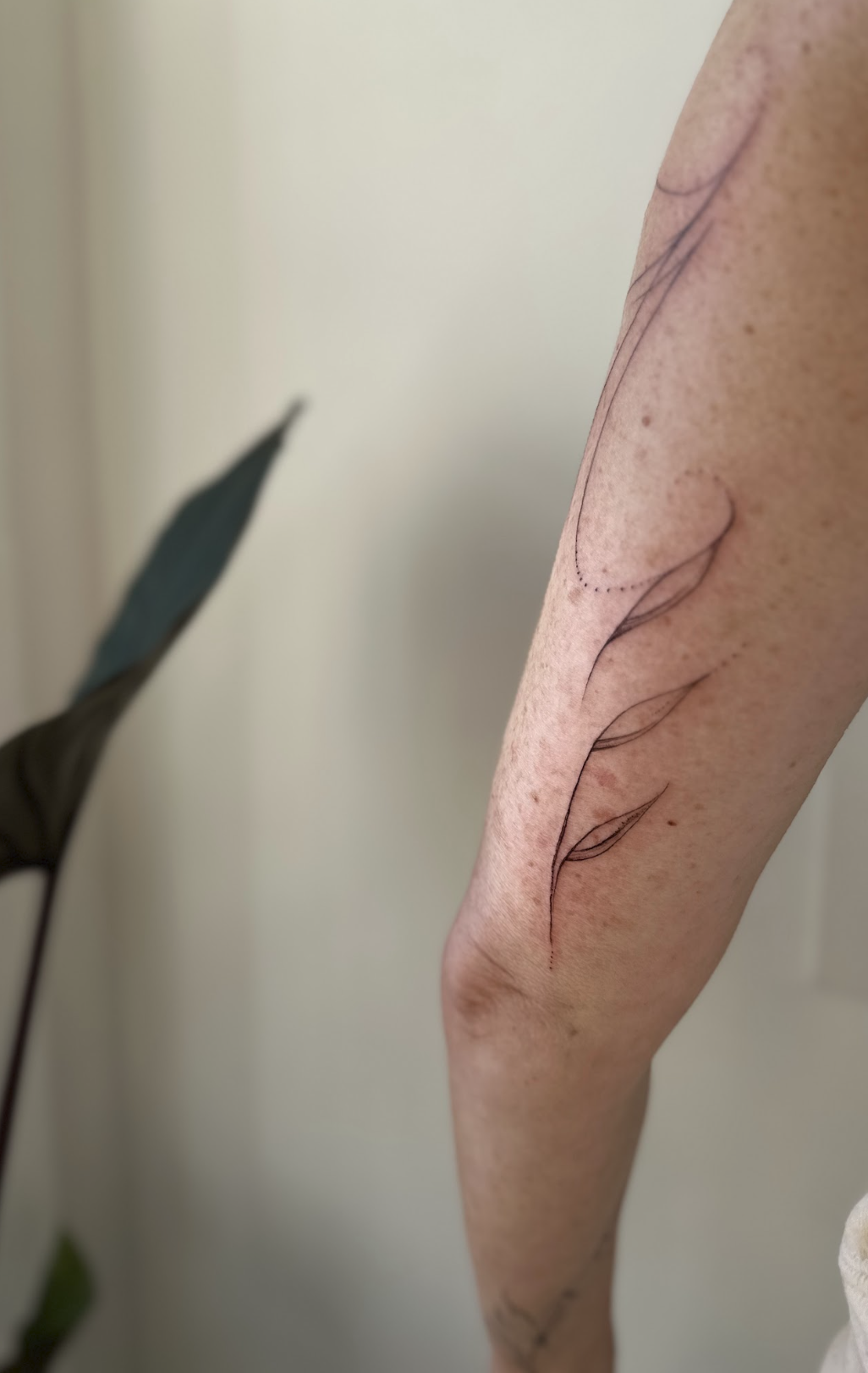 Delicate Whispering Botanical Forearm Curve Tattoo by Justine Almaraz