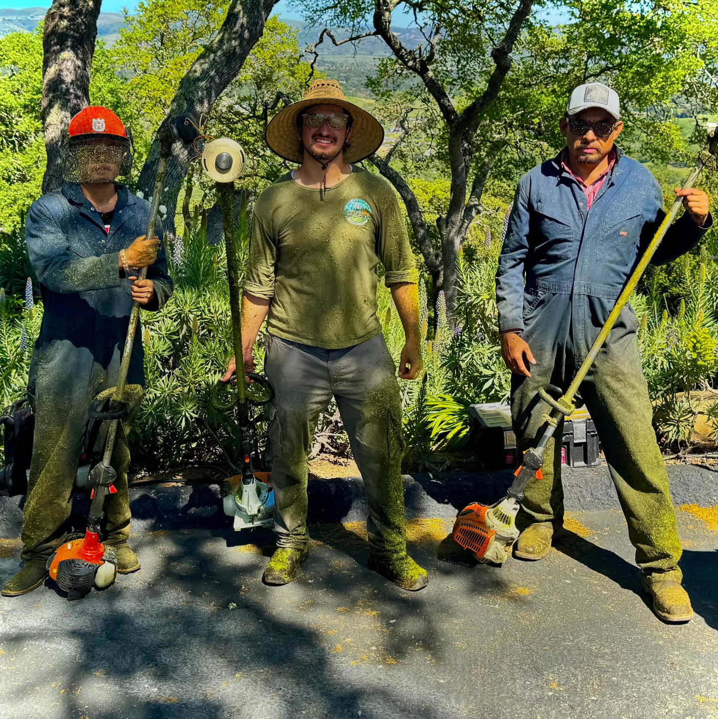Weekly & Bi-Weekly Yard Maintenance