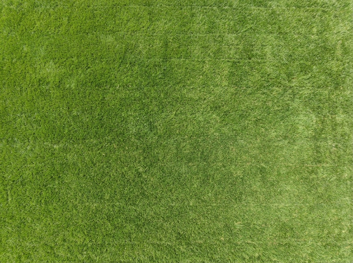 The same suburban Maryland backyard lawn after Poop Troop cleanup — all dog waste scooped and hauled off-site, grass clean and usable