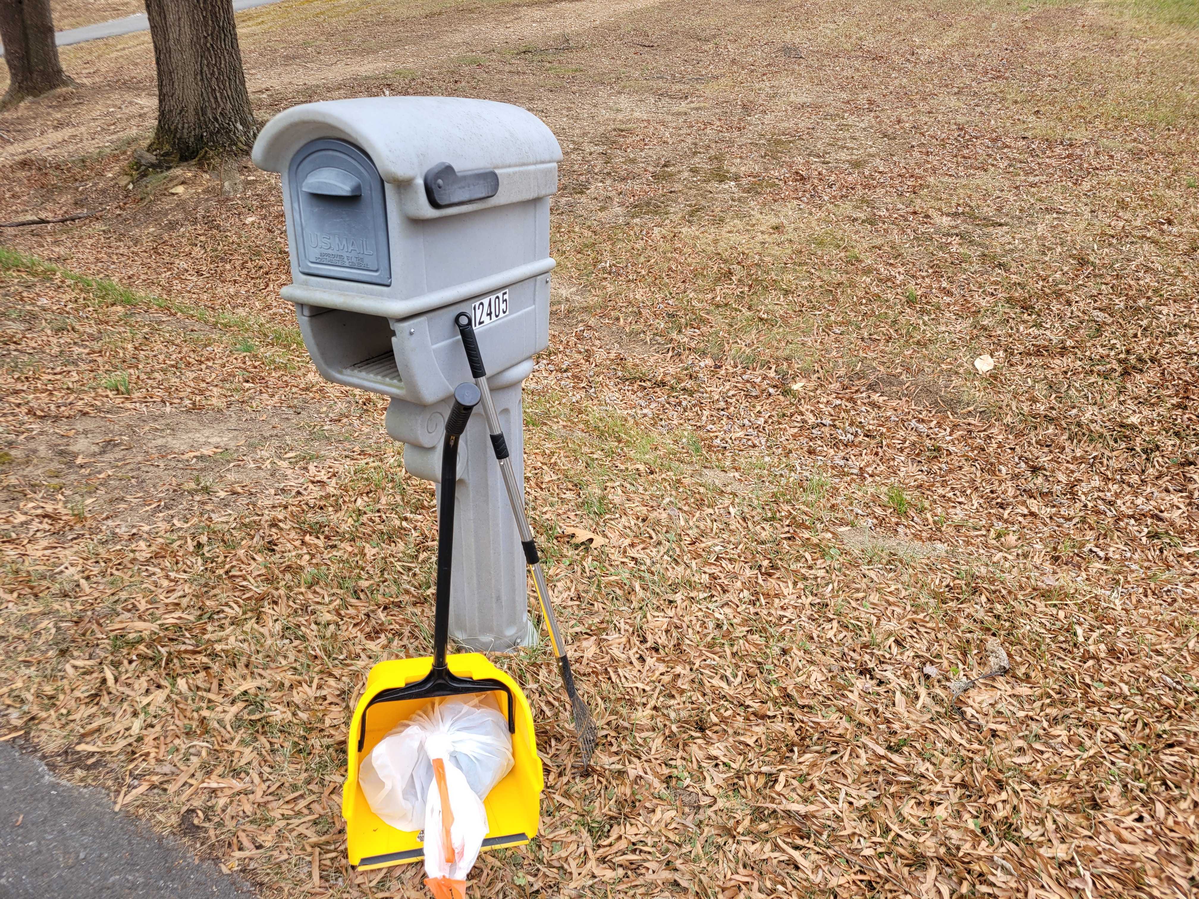 Fall & Winter Yard Reset - Monrovia, MD