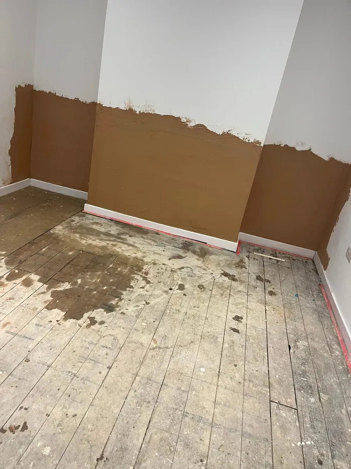 Lower wall damp proofing render and plaster restoration