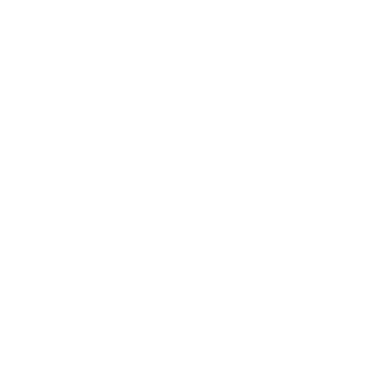 Diced Society Logo