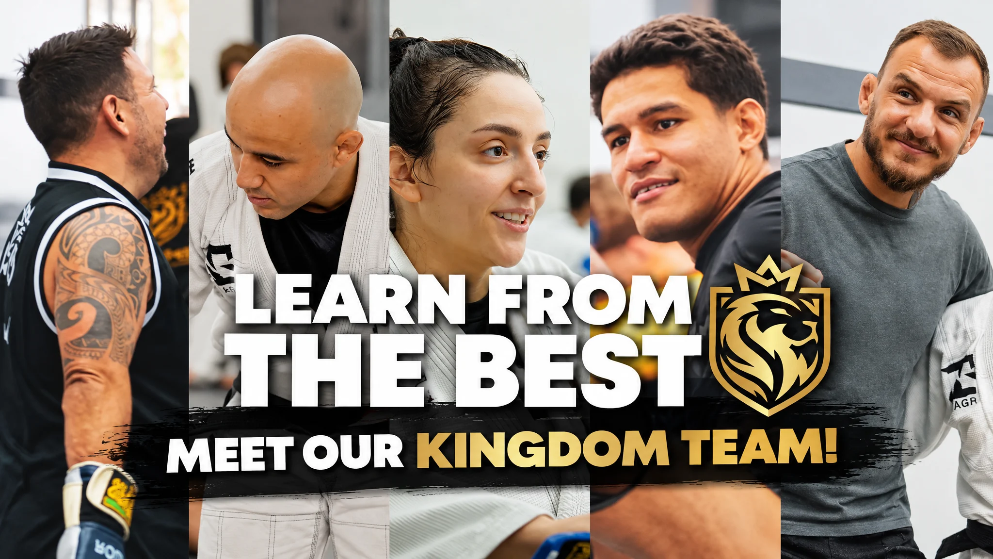 Learn from the best - Meet our Kingdom team