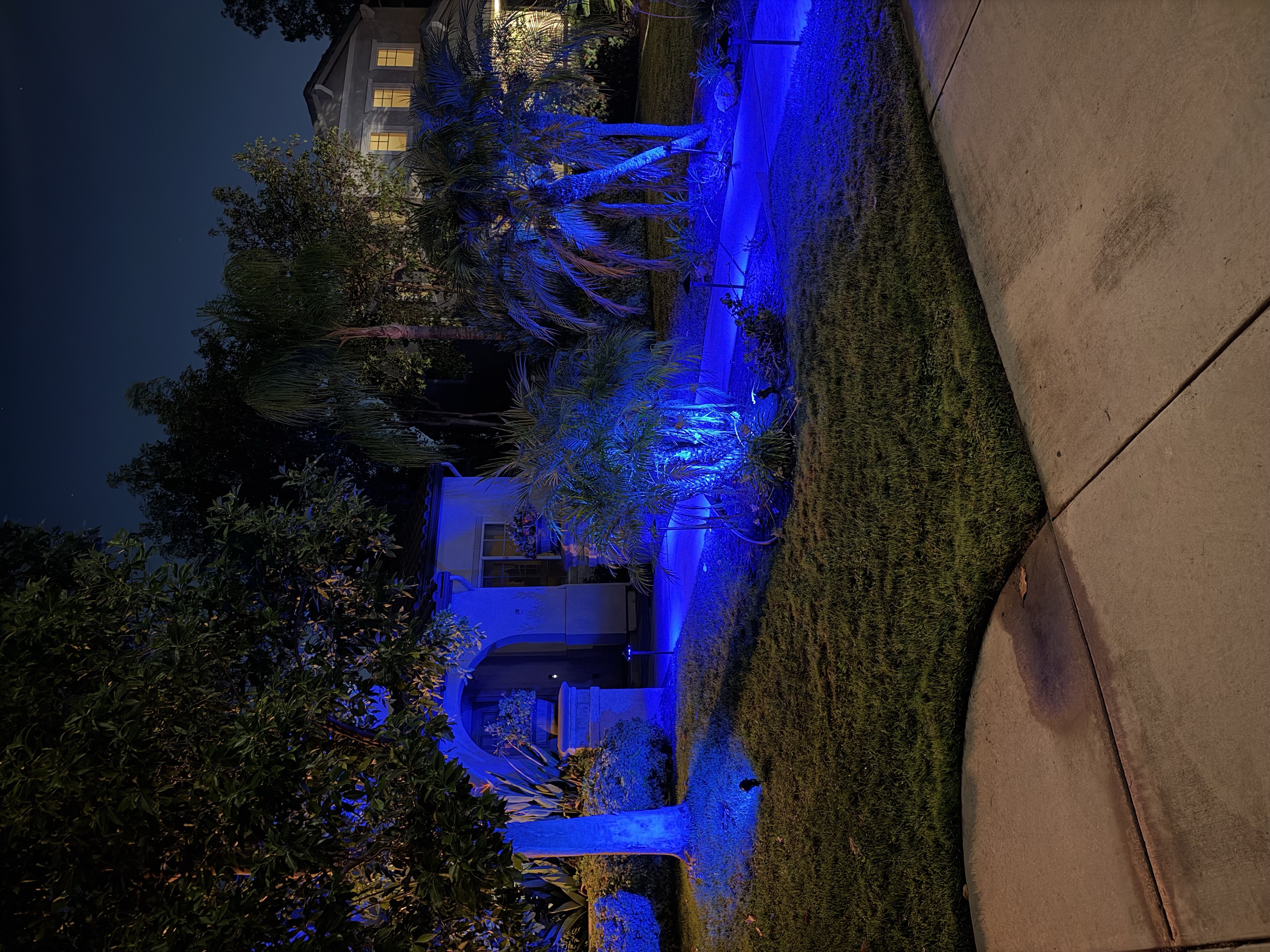 Vibrant cyan-blue palm wash