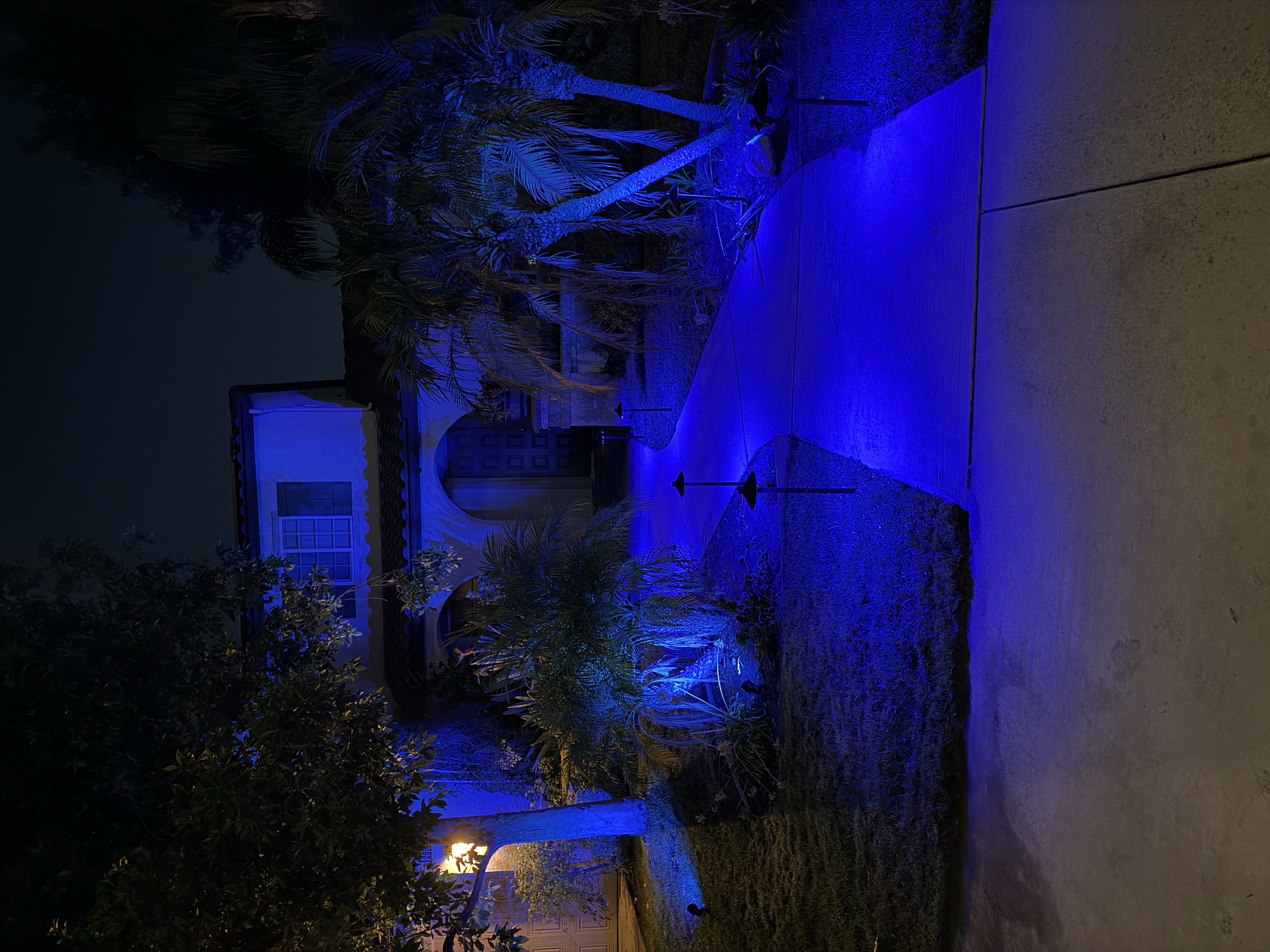 Cobalt blue nightscape walkway