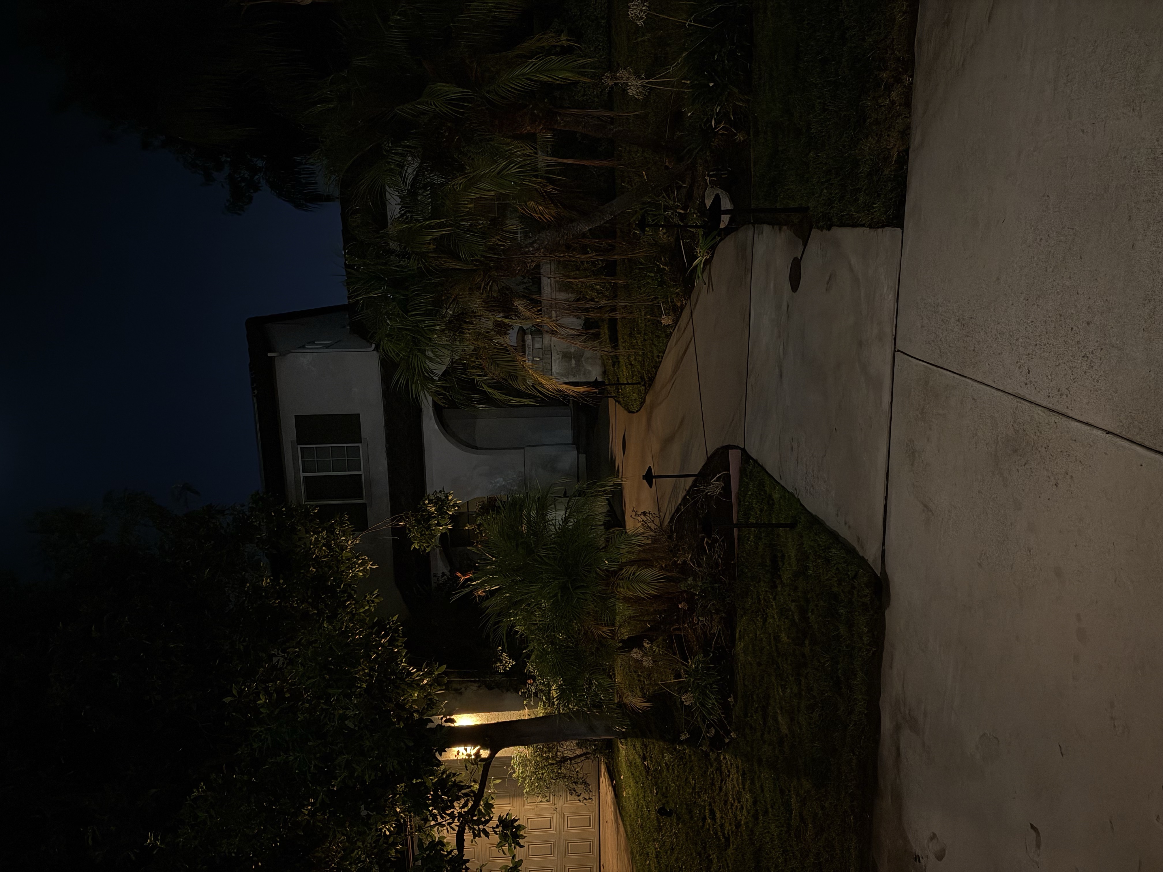 Warm Architectural Walkway & Garden Path