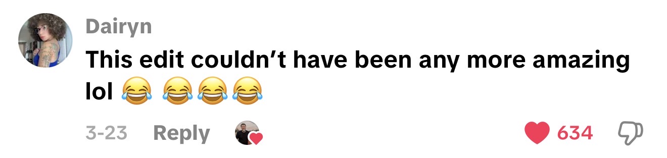 TikTok comment from Dairyn: This edit couldn't have been any more amazing lol 😂 - 634 likes