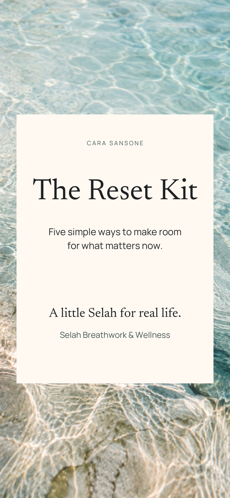 The Reset Kit cover