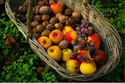 Fresh organic bounty, apples, grapes and walnuts gathered in a woven basket