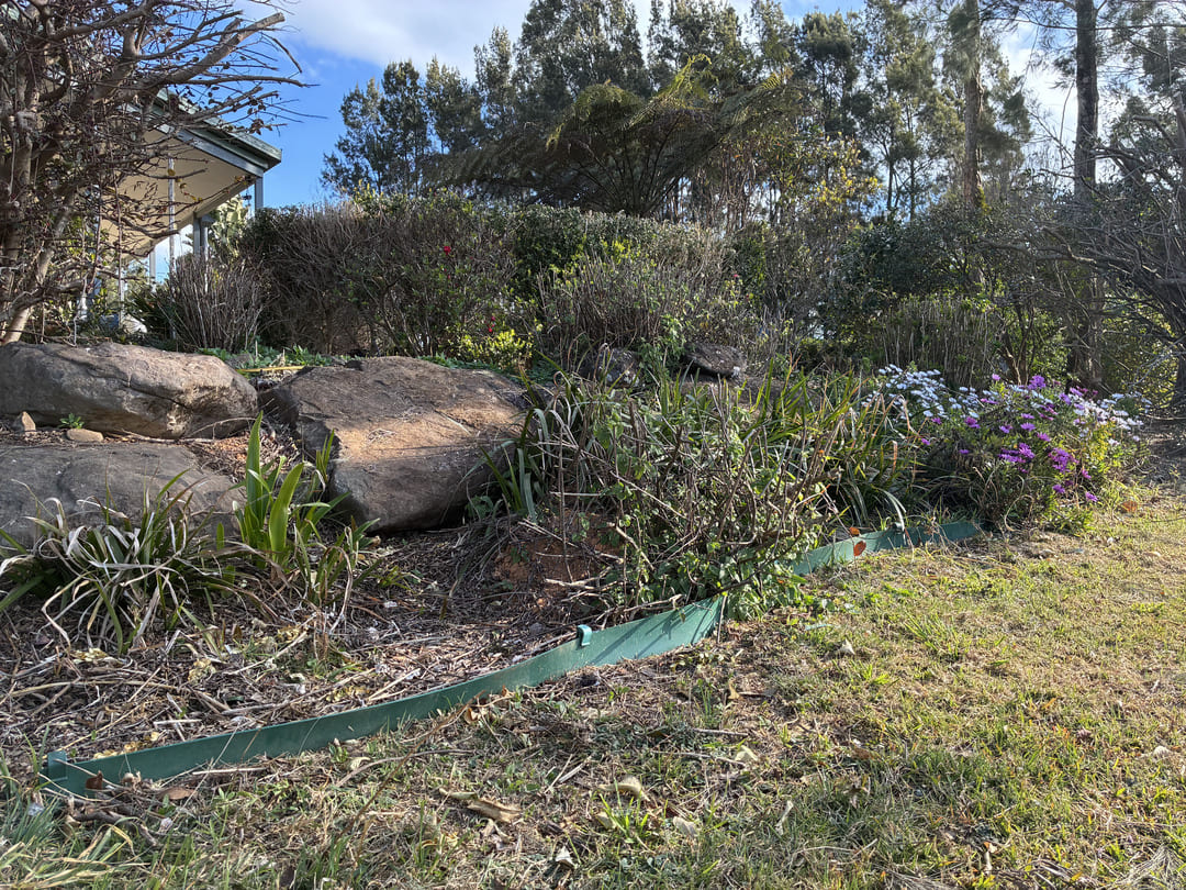 Garden rockery and shrubs before pruning
