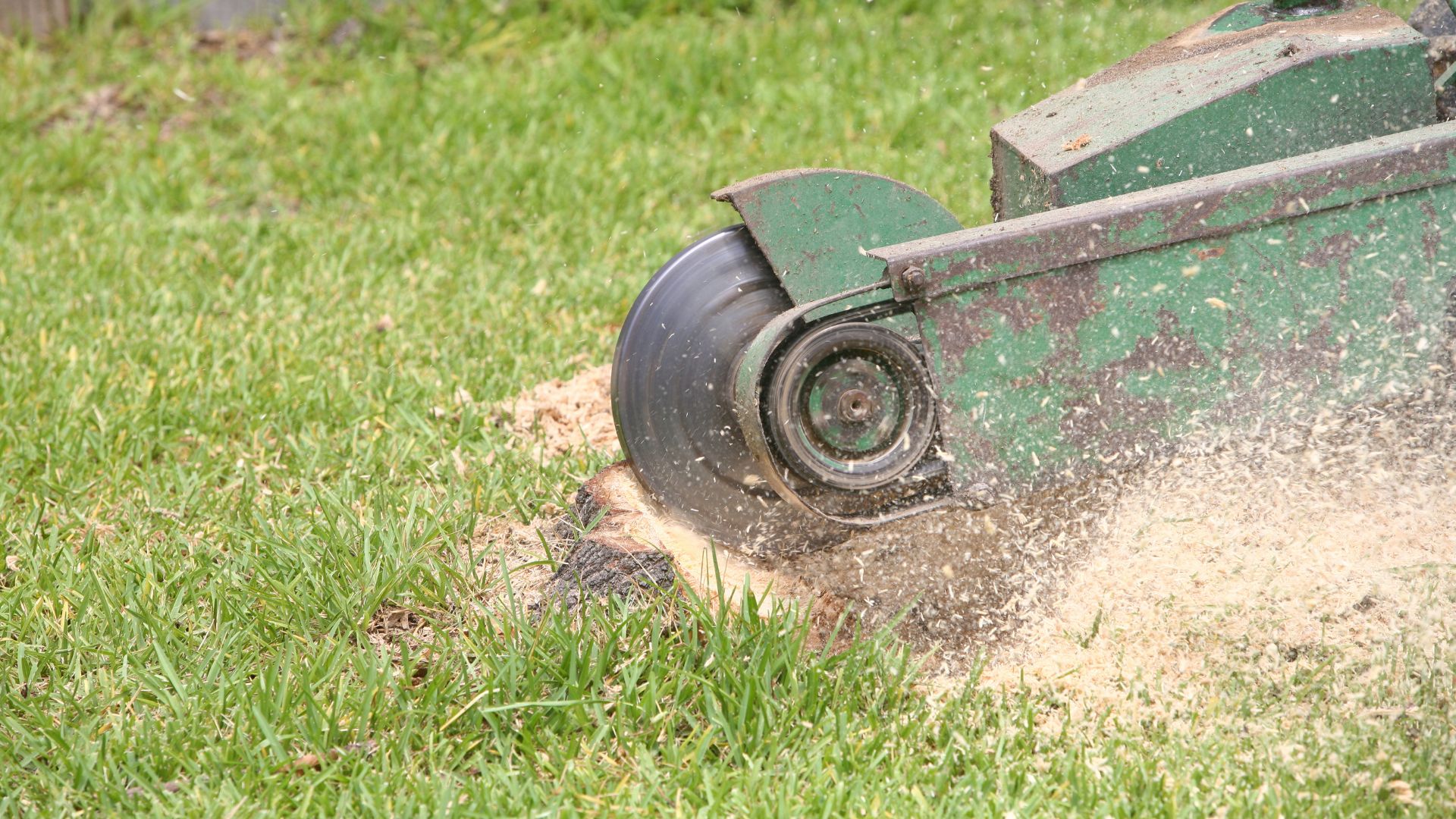Ground Up Property Works — Availability in Dundurrabin, NSW