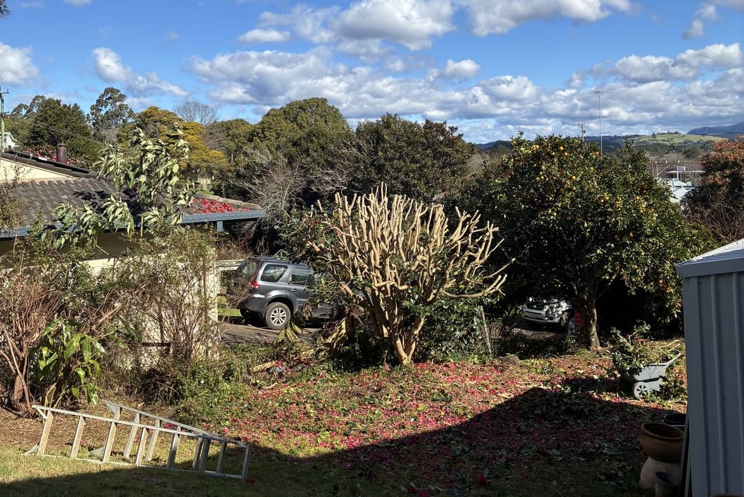 What happens to the green waste after a clean up?