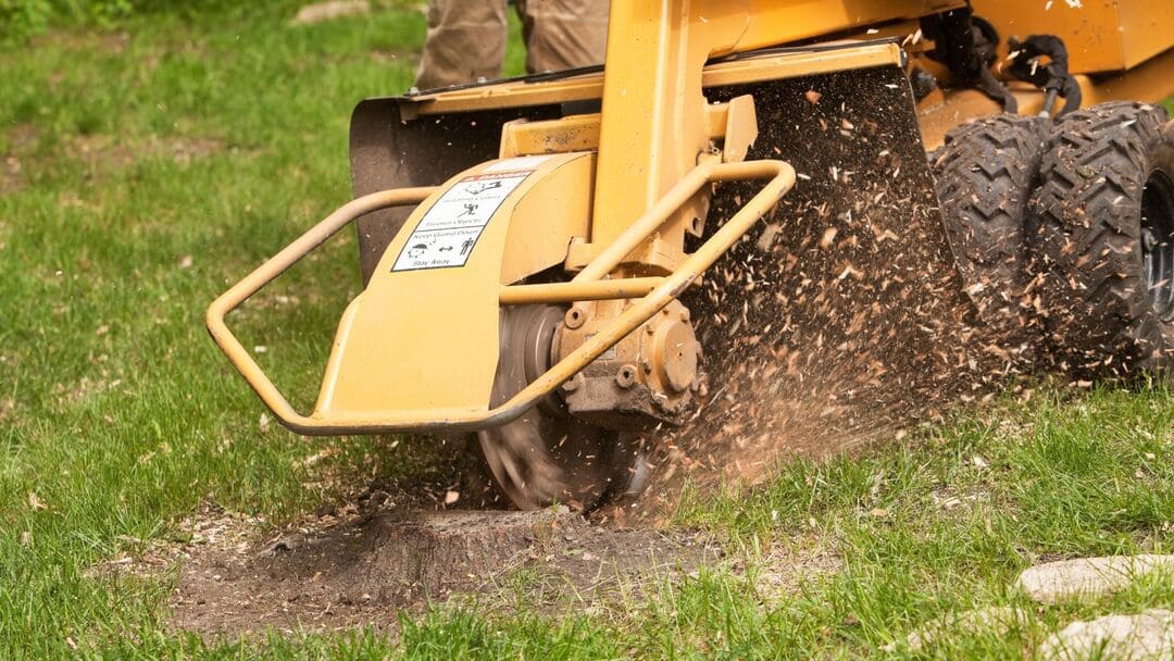 Stump Removal