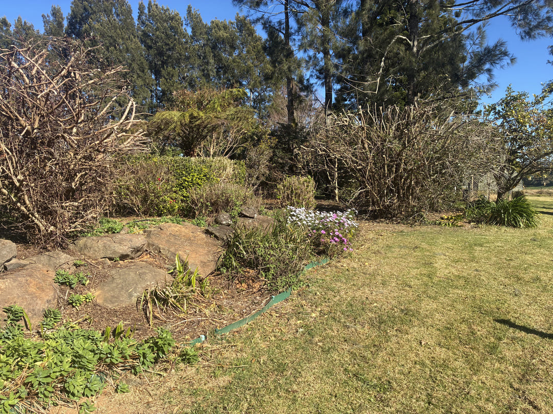 Garden rockery and shrubs after pruning