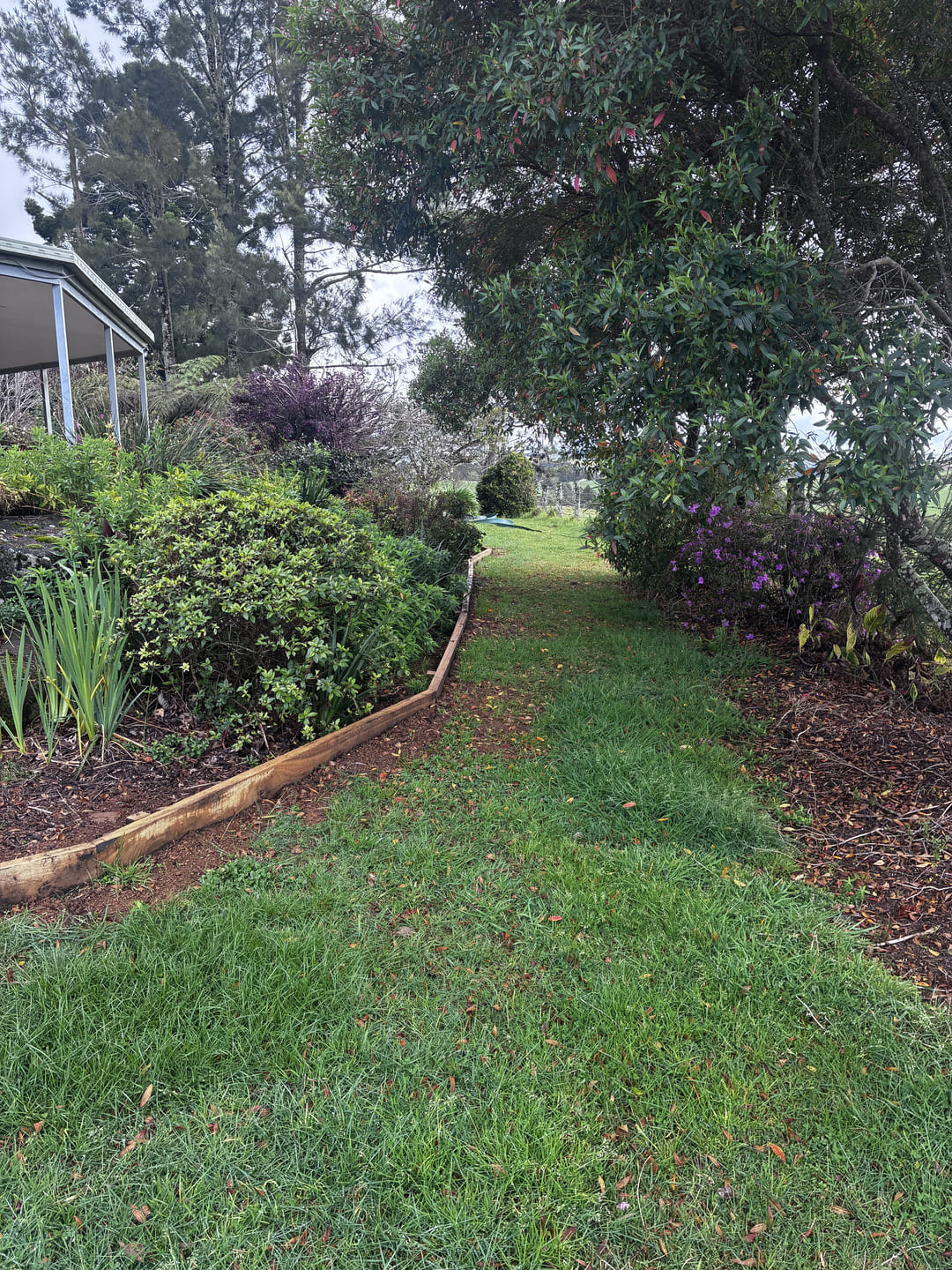 Timber garden edging along pathway and garden trees