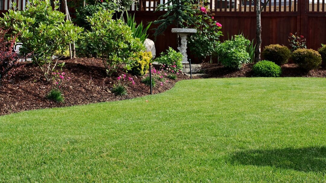 Do you catch the clippings or leave them on the lawn?