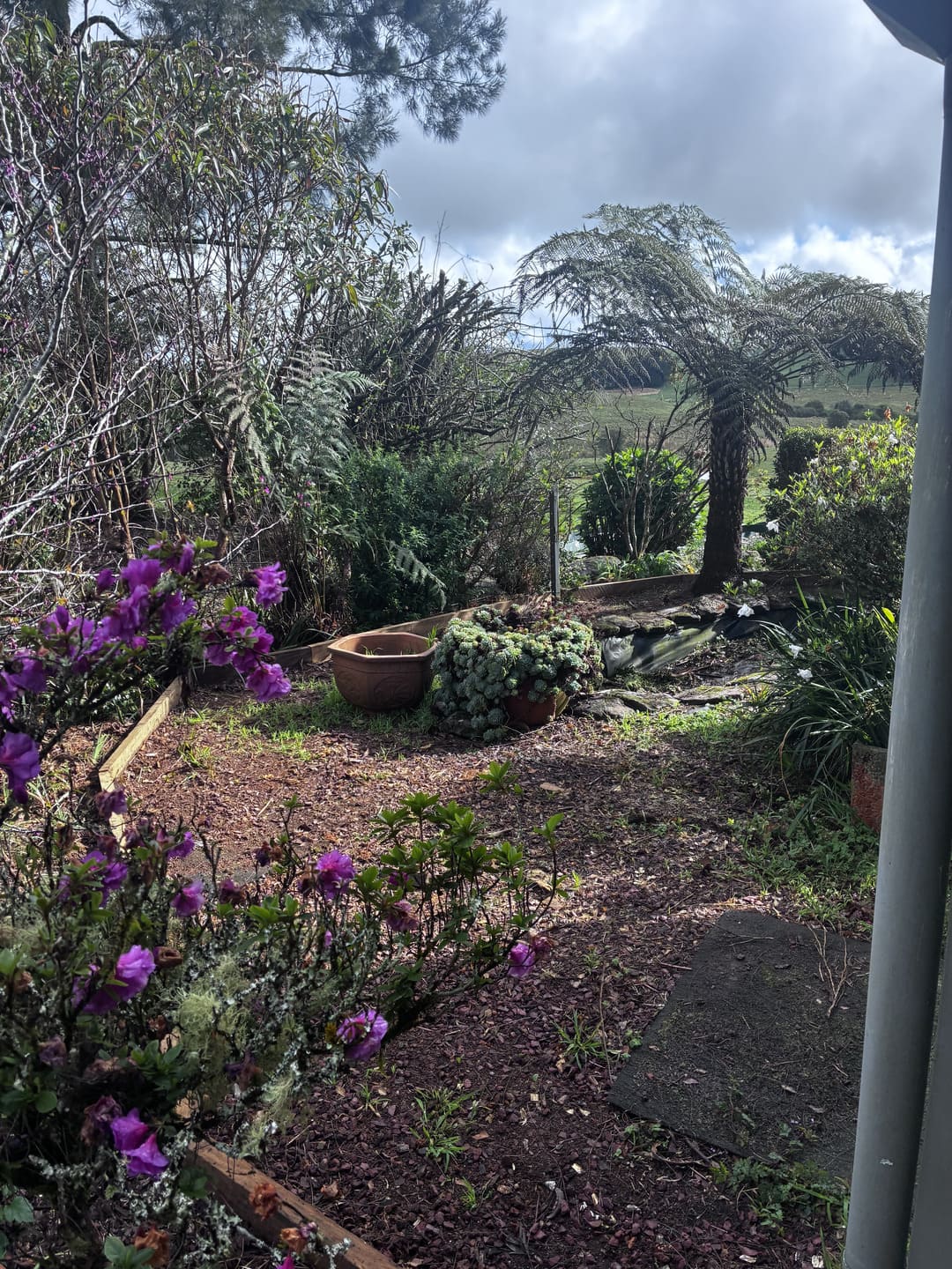 Garden area after clean up