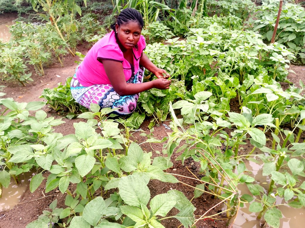 Chairperson Ivona Ndayizeye cultivating the Green Land of Green Food garden plot