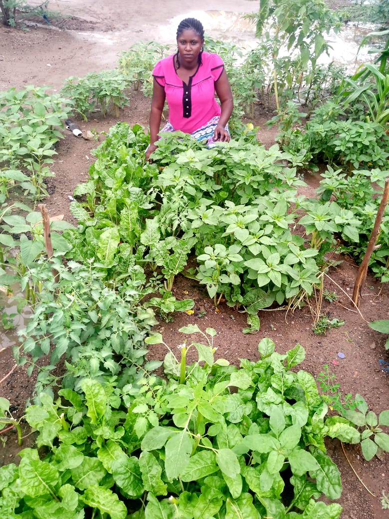 Thriving vegetable crops in the Green Land garden learning center