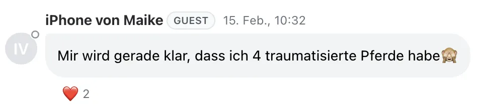 Live-Chat Feedback: Mir wird gerade klar, dass ich 4 traumatisierte Pferde habe