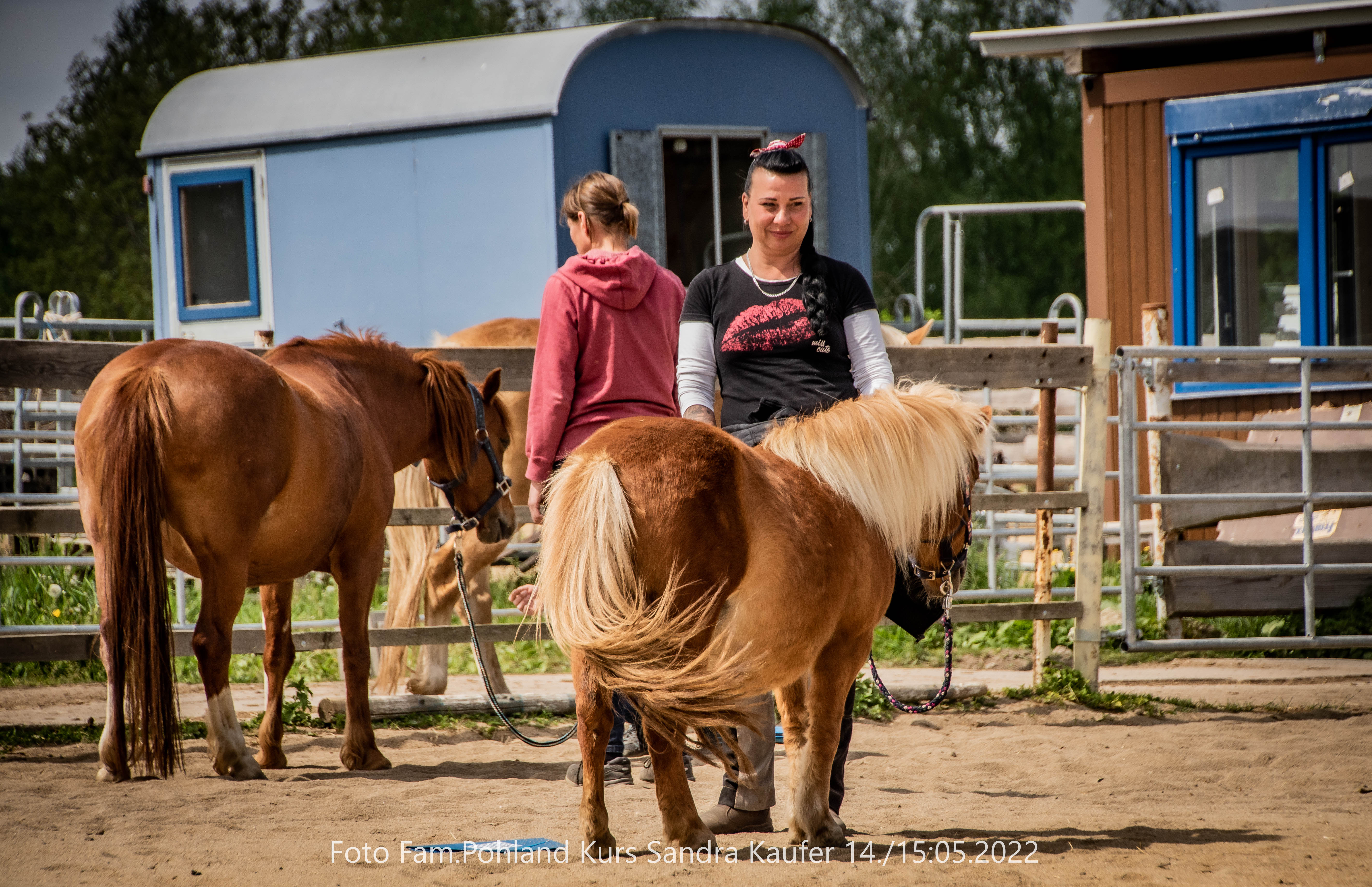 Achtsamer Austausch mit dem Pferd