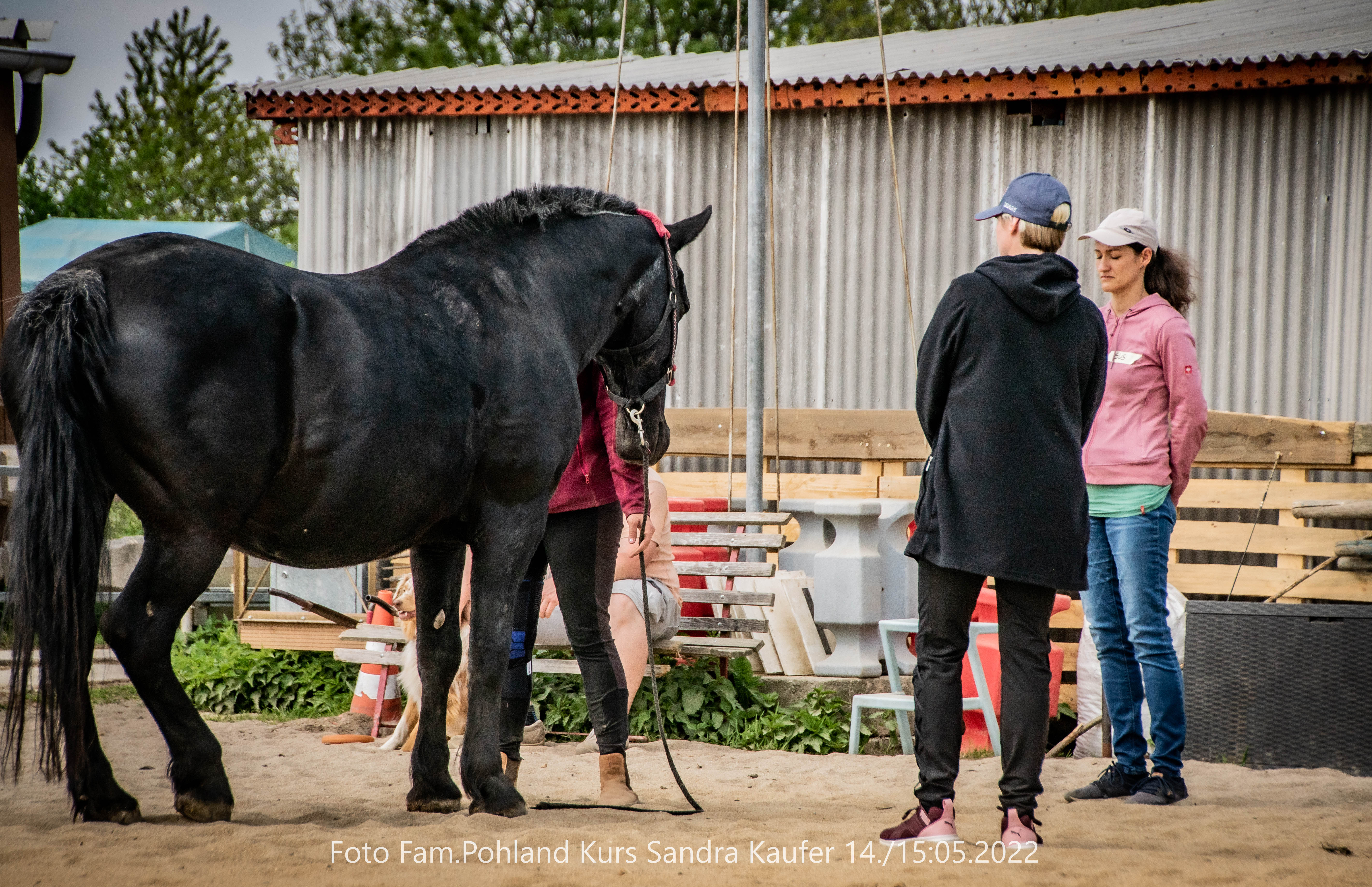 Kursteilnehmerinnen in der Praxis mit dem Pferd