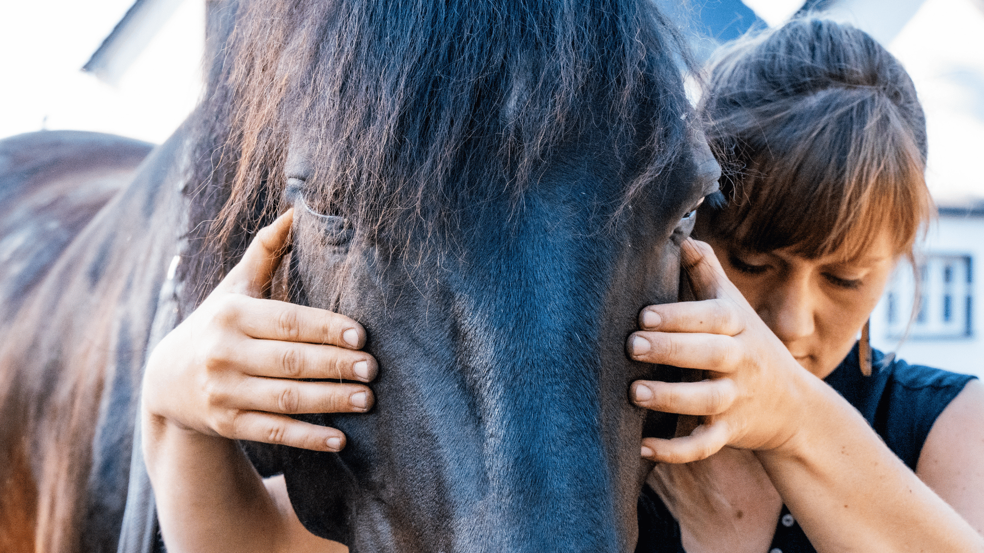Sandra Kaufer mit Pferd — traumasensible Körperarbeit