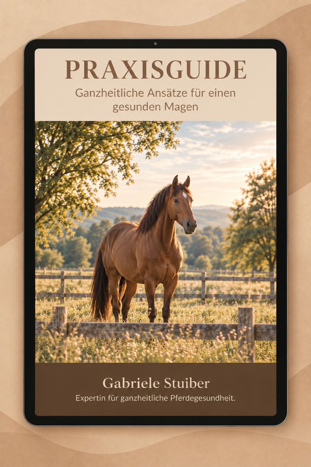 Kostenloser Praxisguide Schau auf den Magen — Gabriele Stuiber