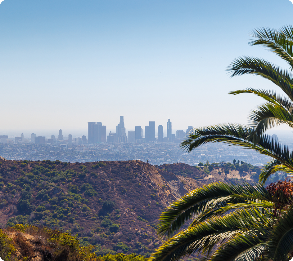 Los Angeles Skyline Service Area