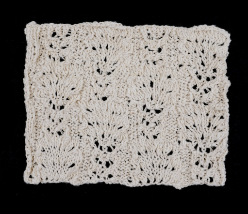 Braid Stitch Lace