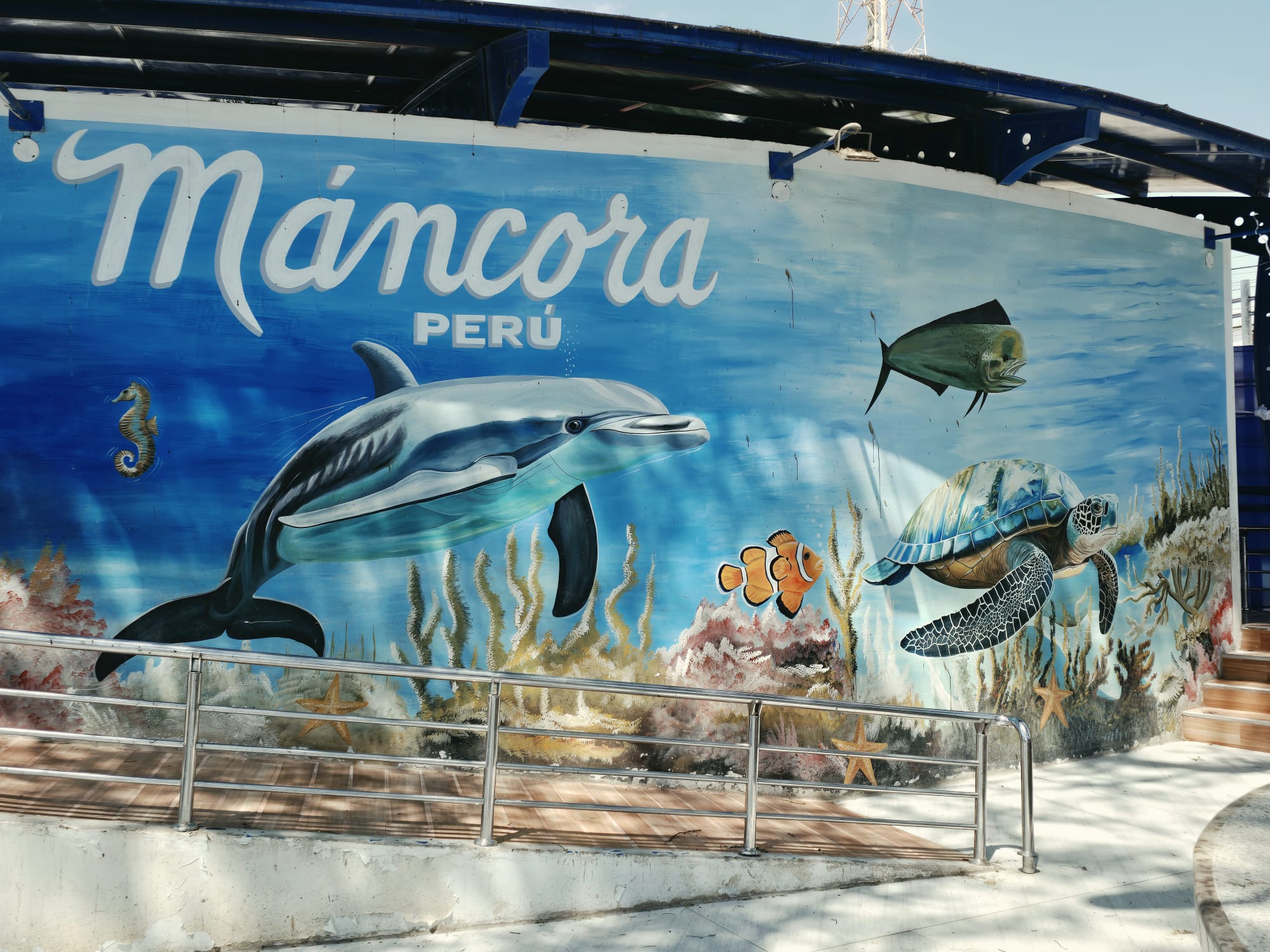 Máncora Perú street mural featuring ocean wildlife including a dolphin, sea turtle, and reef fish