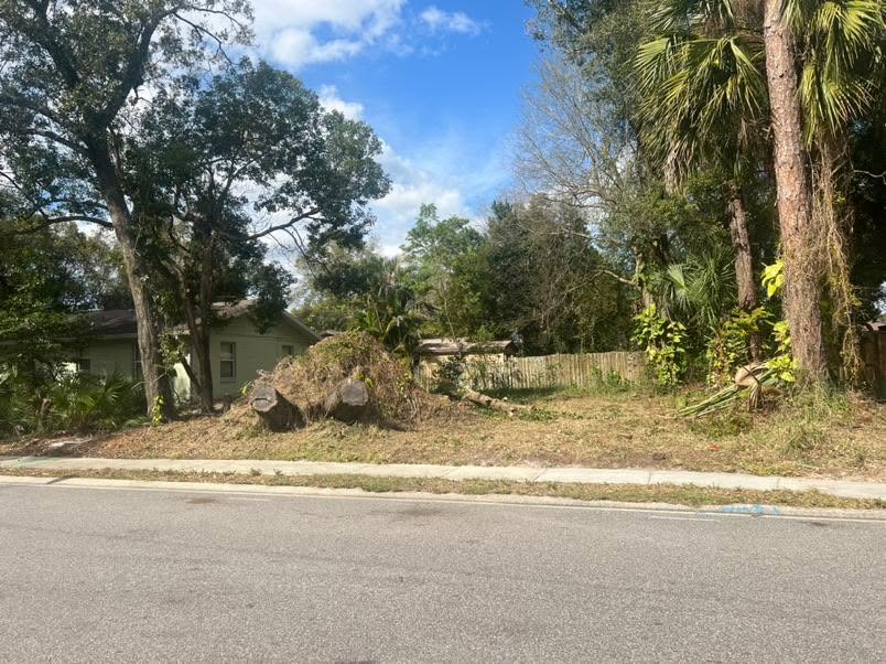 Residential Lot Clearing — Before — Land Clearing in Winter Springs, FL