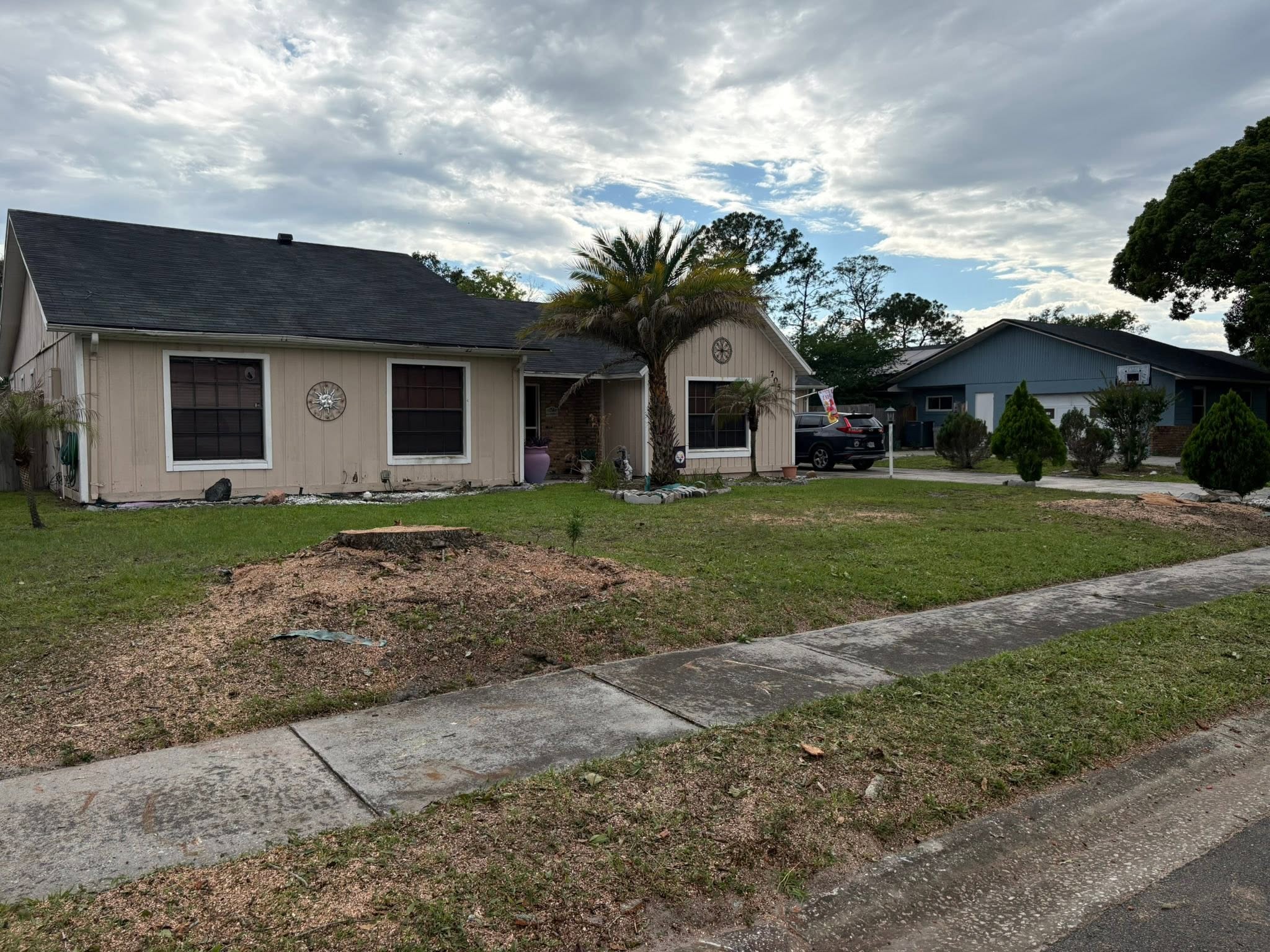 Stump Grinding — Before — Stump Grinding in Casselberry, FL