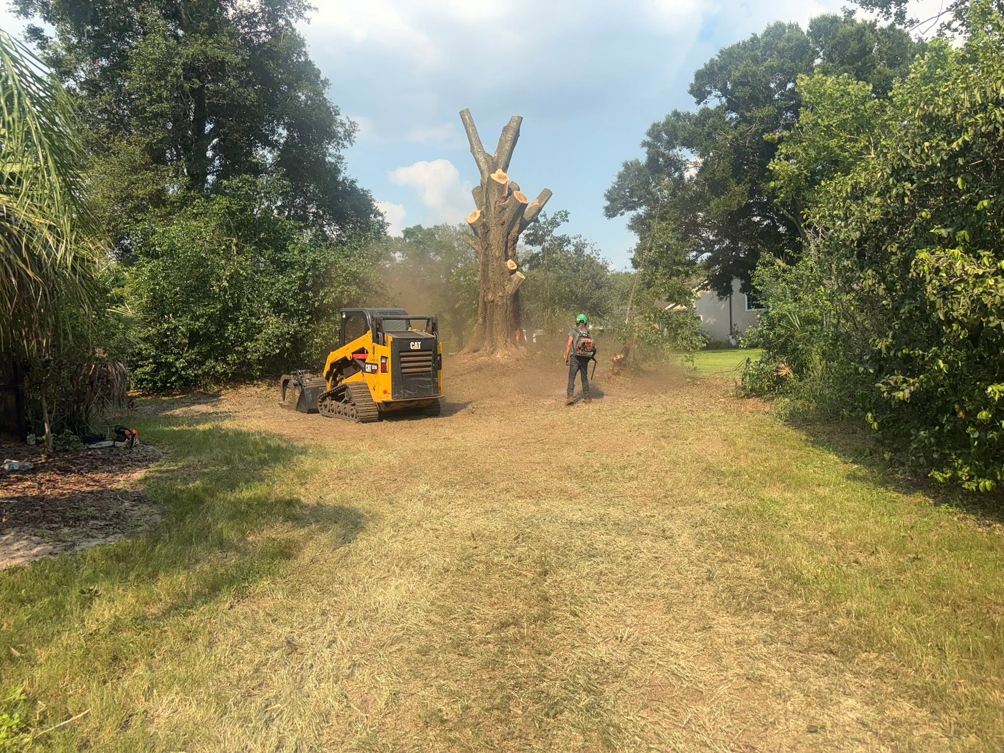 Mature Oak Removal Near Home — Tree Removal in Longwood, FL