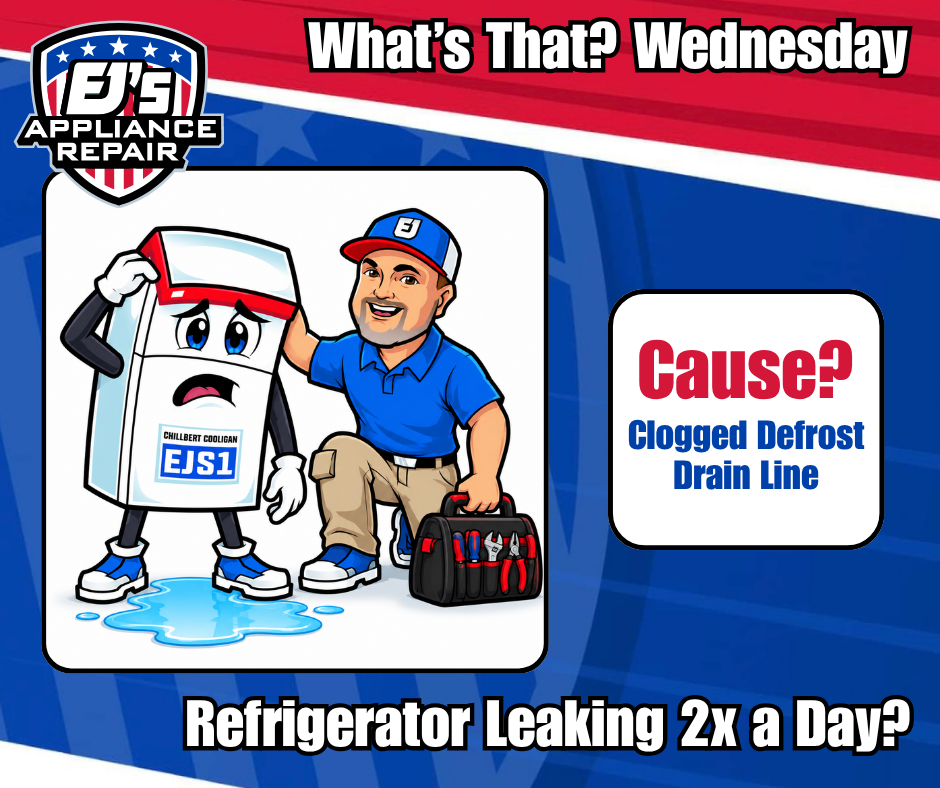 What's That? Wednesday: Chillbert Cooligan explaining a clogged defrost drain line causing a refrigerator leak