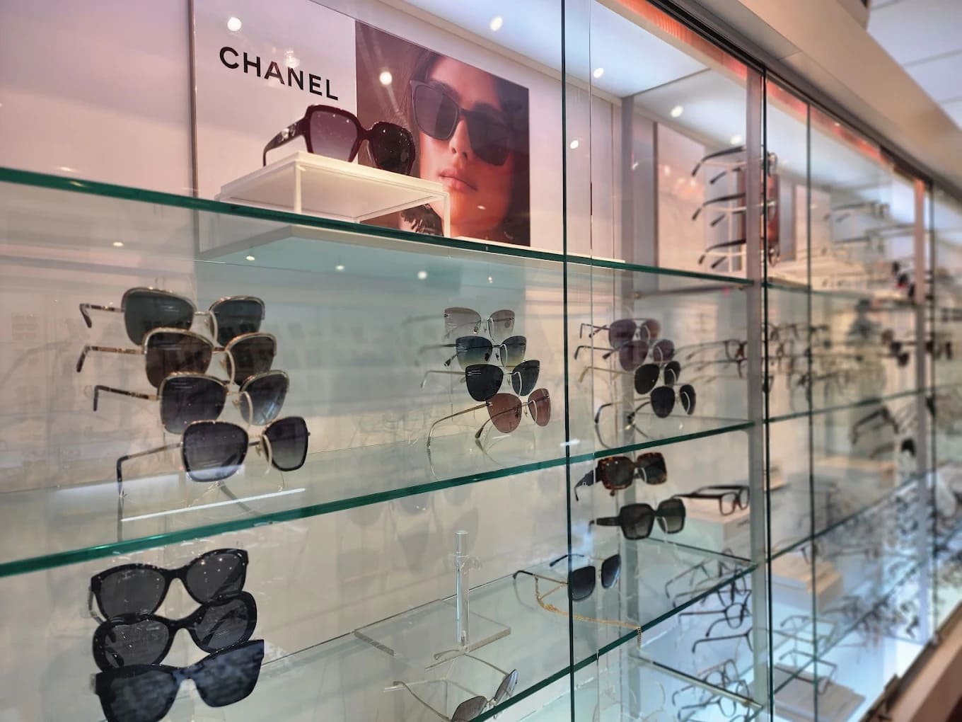 Designer sunglasses on display at Optical Zone Westminster