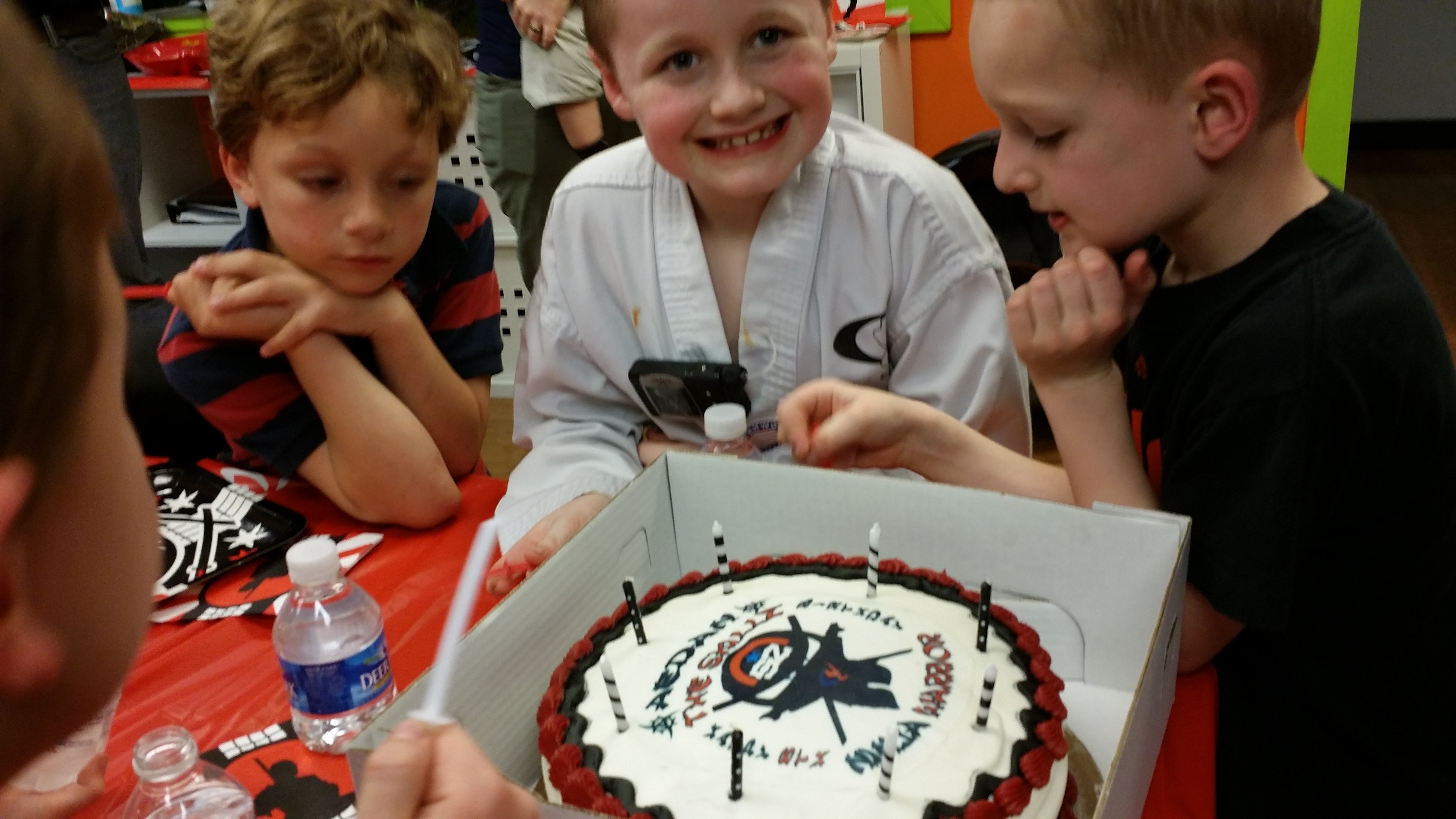 Ninja Warrior Birthday Cake & Friends