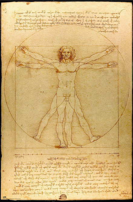 Manuscrito Hombre de Vitruvio - Salud y Proporción Men Sana