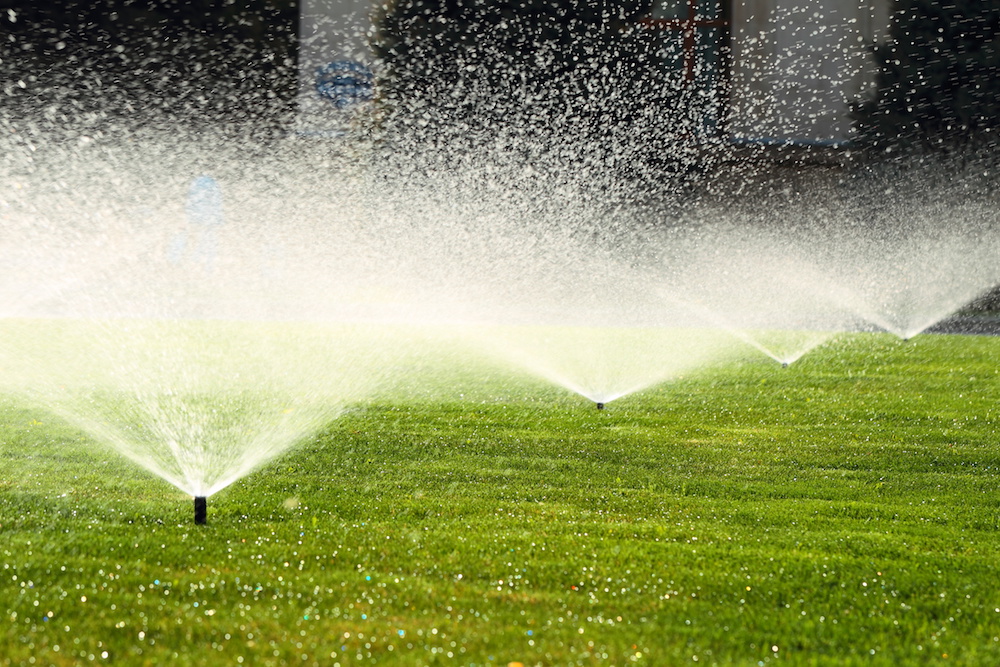 Landscape irrigation sprinkler system in operation