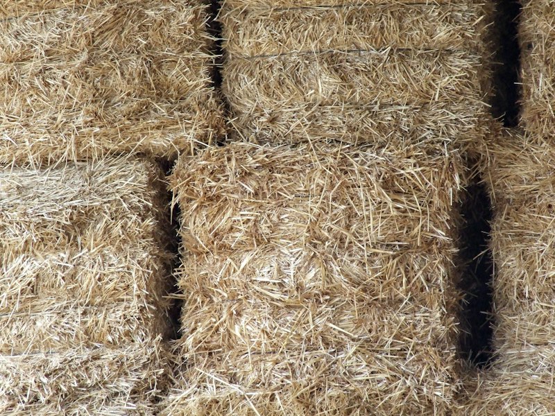 Alfalfa Hay Bale