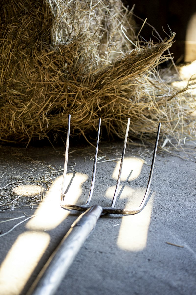 Manure Fork