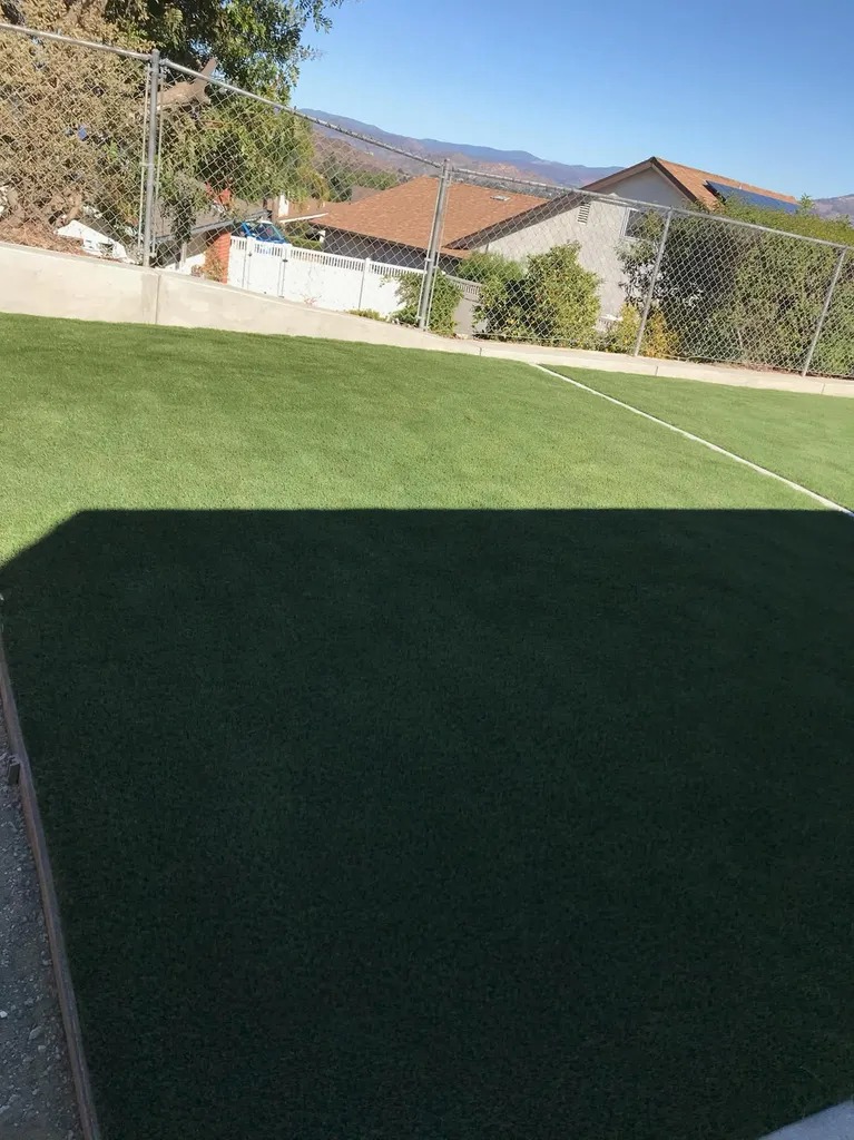 Drought-Tolerant Landscaping