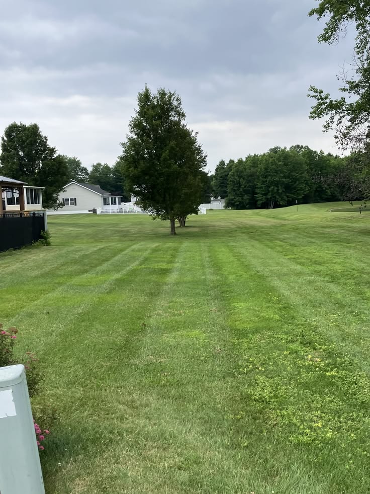Seasonal Yard Cleanup & Haul Away