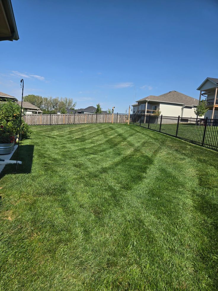Lush Residential Backyard & Perimeter Fence Line
