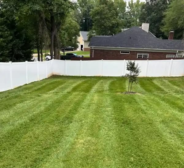 Custom Fence Installation