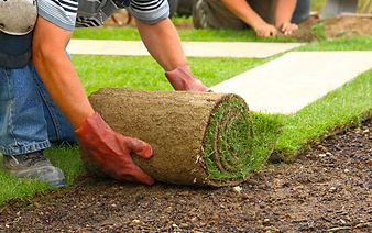 Sod Installation & Lawn Renovation