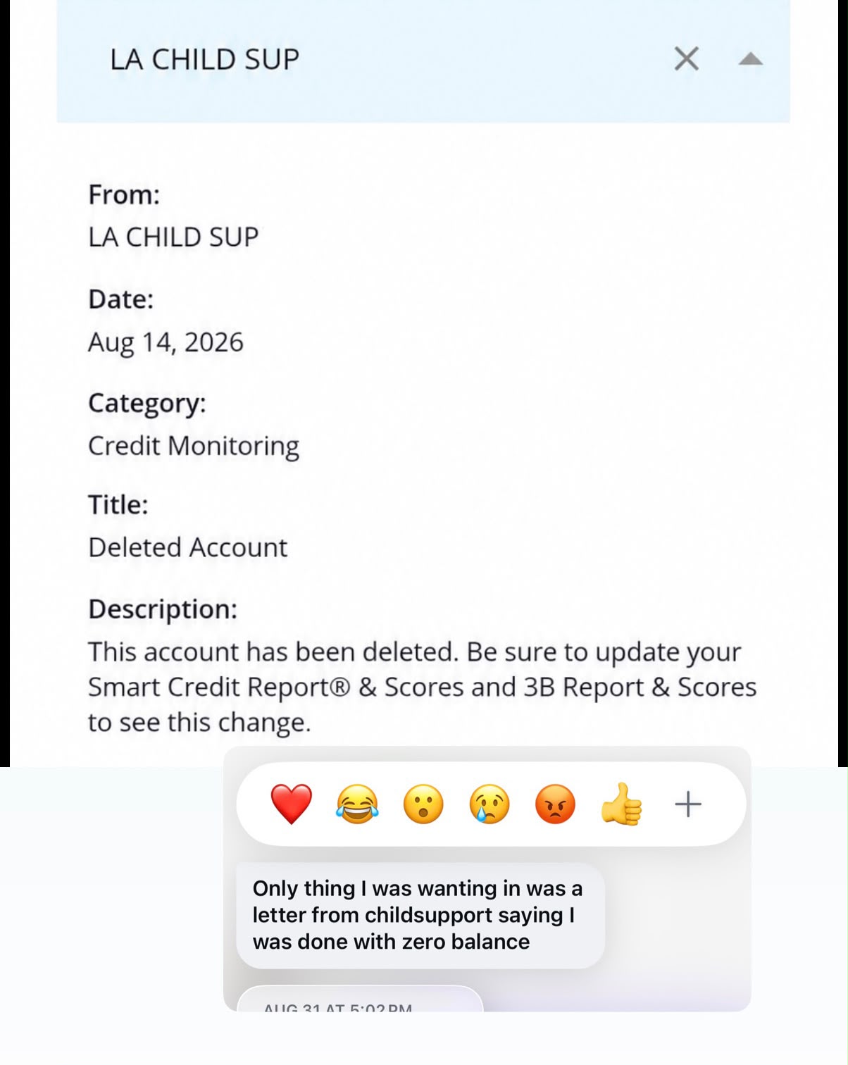 Real client proof showing a LA Child Support account marked Deleted with client confirmation text