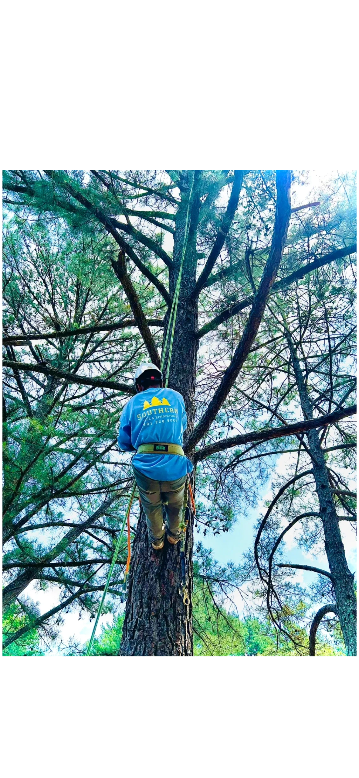 Southern Tree & Renovations equipment and crew